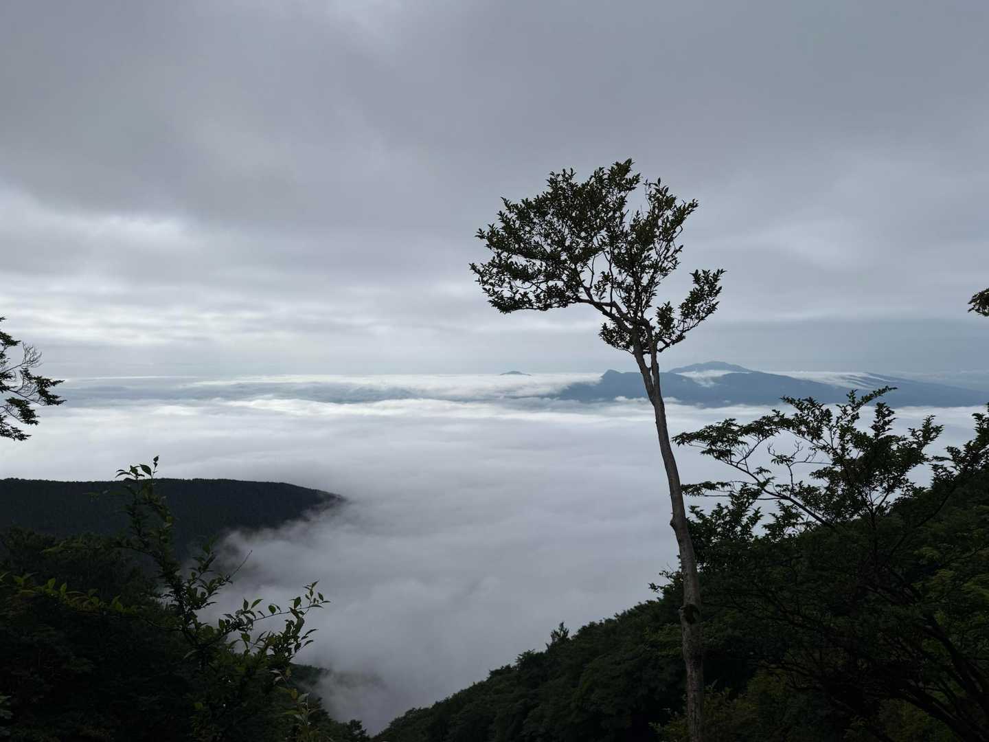 三国峠-三国山-楢木山-三国山東登山口-明神峠-明神山 周回コースの写真