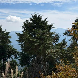 中津明神山かな？次行きたい⛰️