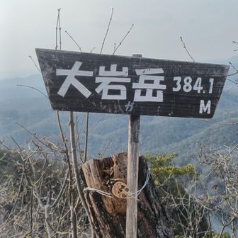 大岩ヶ岳　山頂