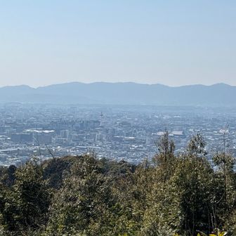 途中の展望台
真ん前に京都タワー🗼
