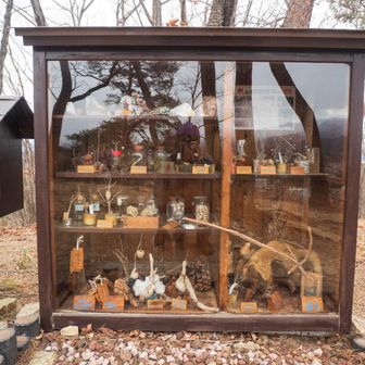 ピークにあるミニ自然博物館