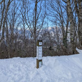 改めて斑尾山山頂