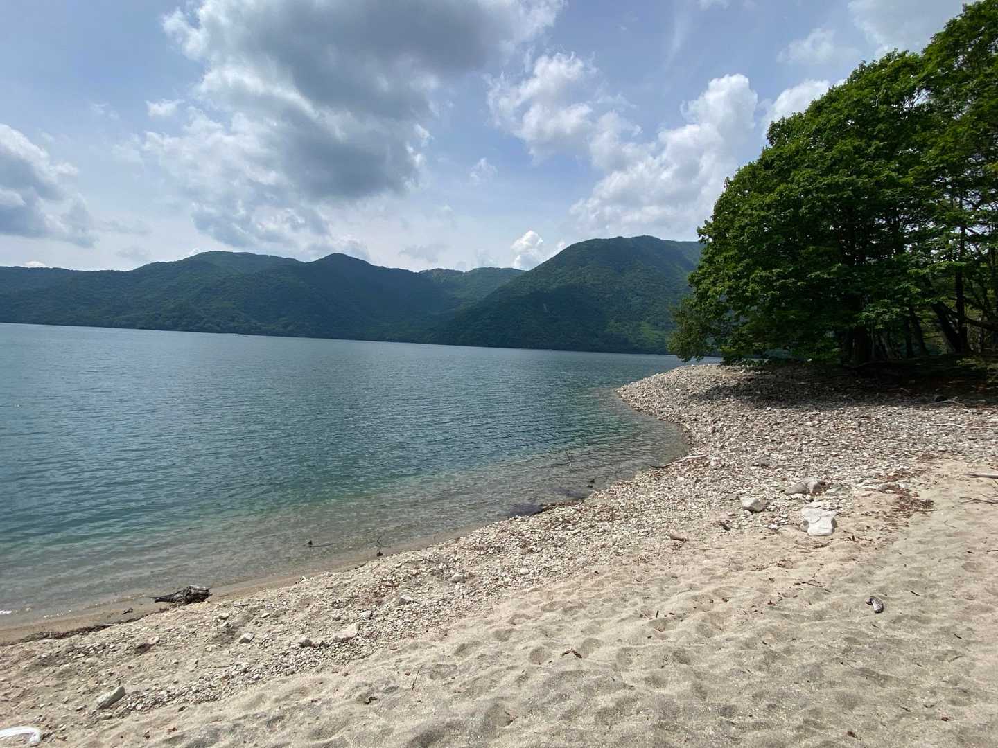 中禅寺湖畔に到着。
水辺が珍しい群馬県民なので、海っぽい！とはしゃいでしまう。砂浜っぽいのもポイントが高い。
ここからクリンソウ群生地まで、湖沿いを歩いていく。