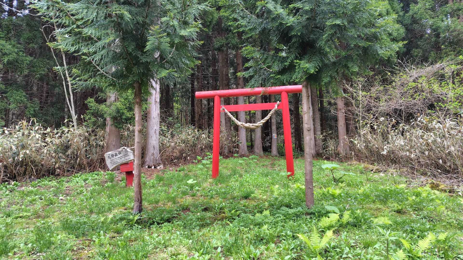 登山口に鳥居⛩️
鳥居をくぐって登山開始です。