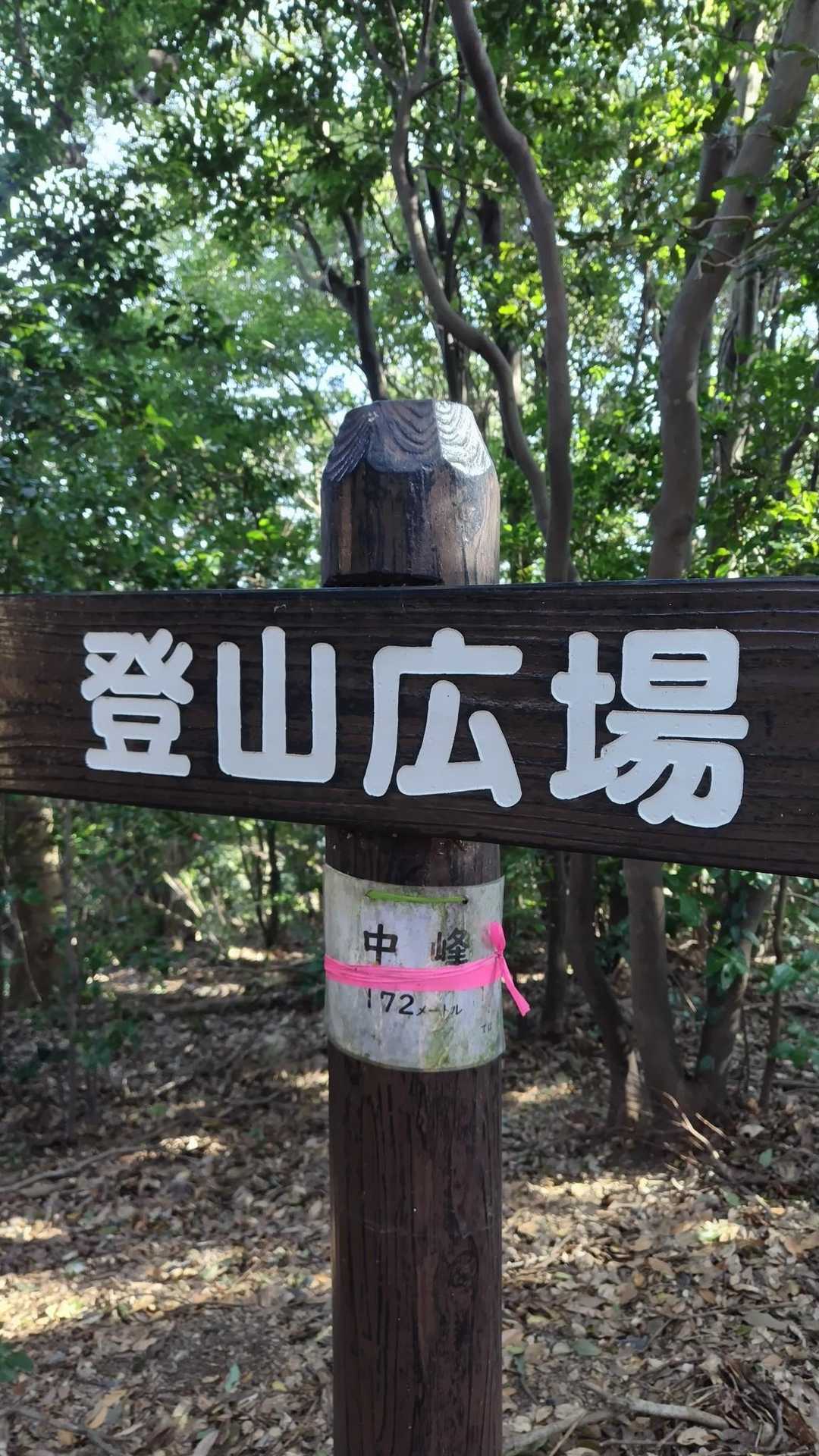 ここなんだピーク❤️