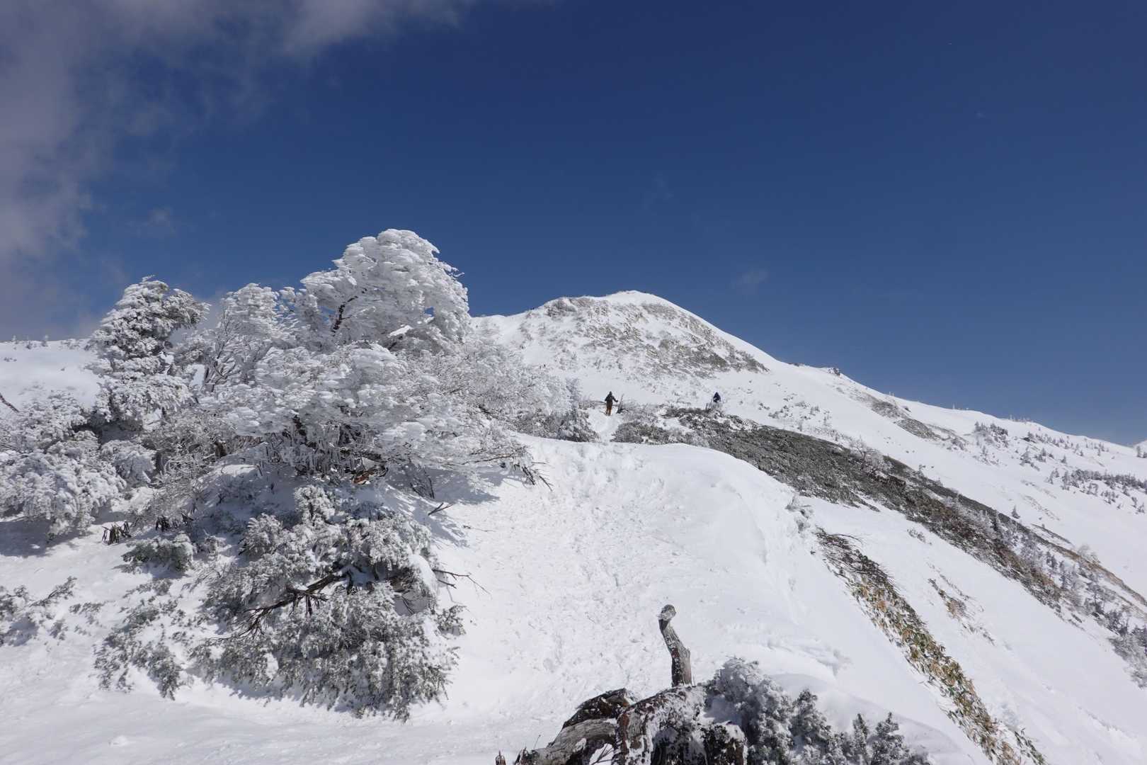 あそこが山頂か