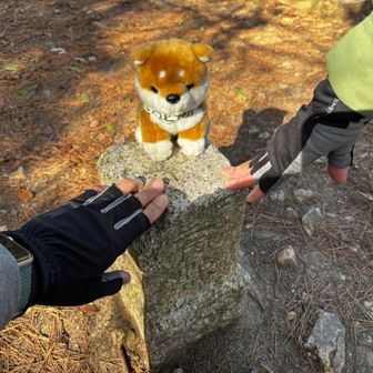 三角点が有りました