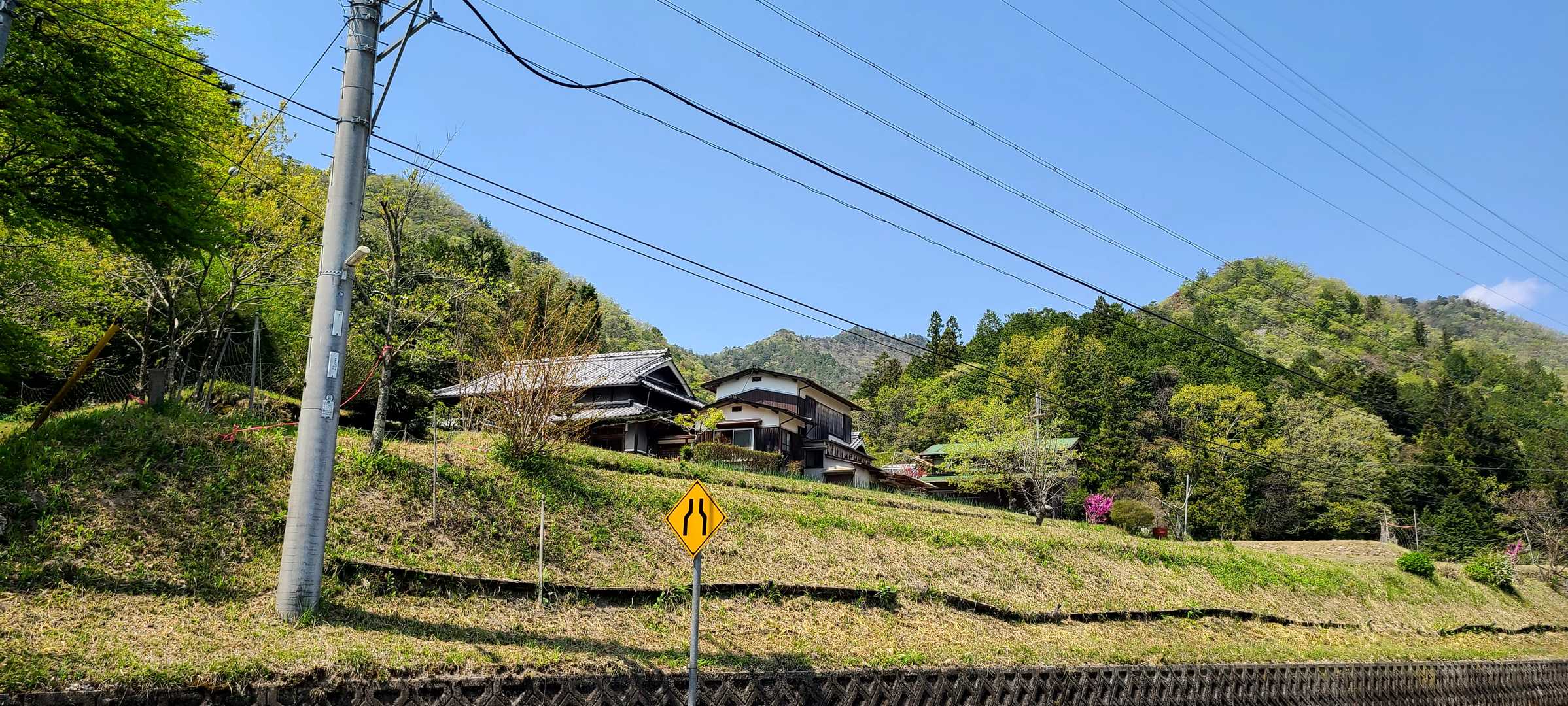 うーん、あの山？大船山