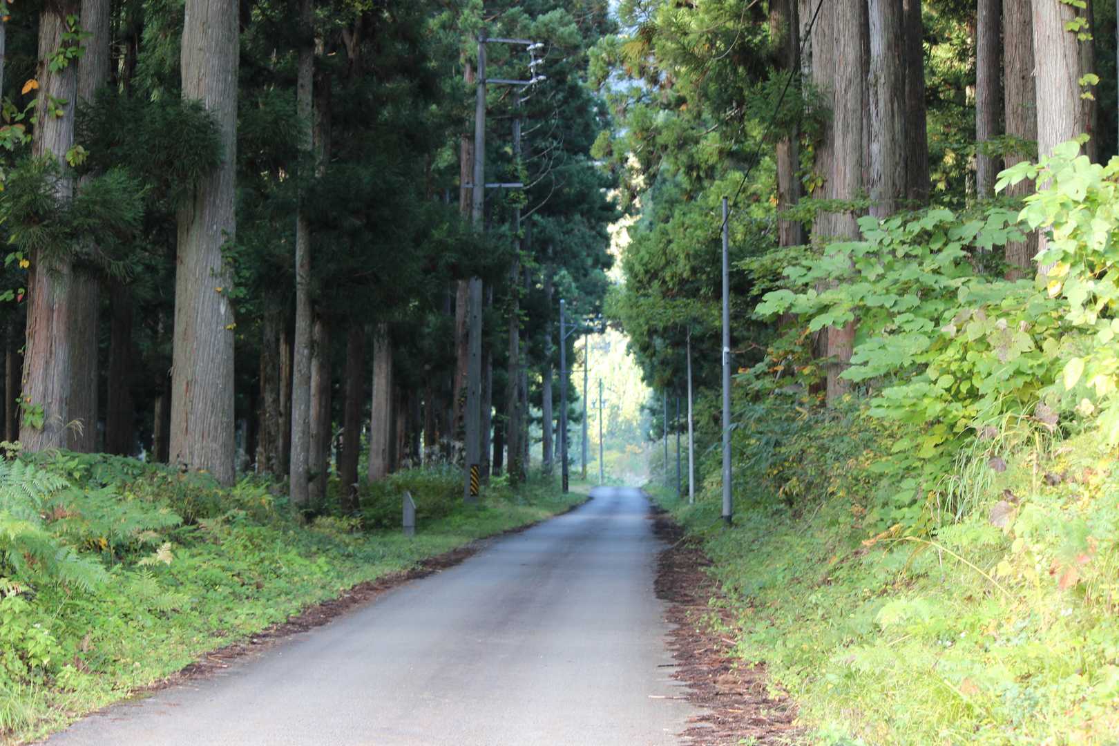 行きも帰りも⛰️
ちょっぴりこんなロードあります🛣️
