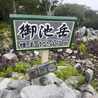 御池岳山頂付近はカルスト台地に石灰岩の不思議な景色