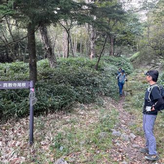 下山はリフト使えず、その分だけ余分に歩く。