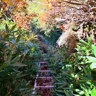 注)八ツ峰の巻道です。