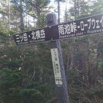 展望のない雨池山山頂