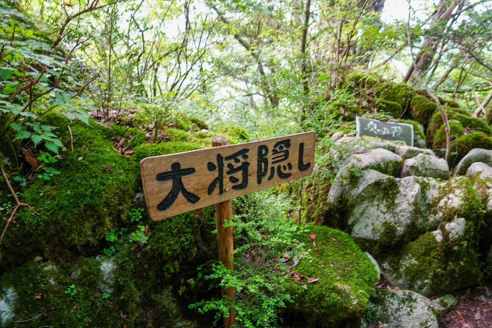 古処山 周回コースの写真