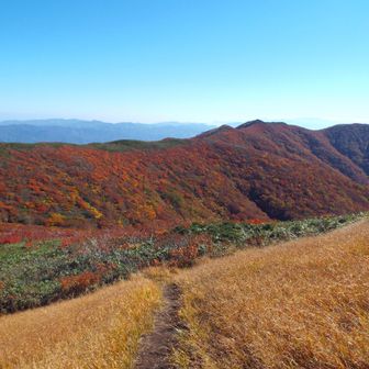 高下岳への稜線