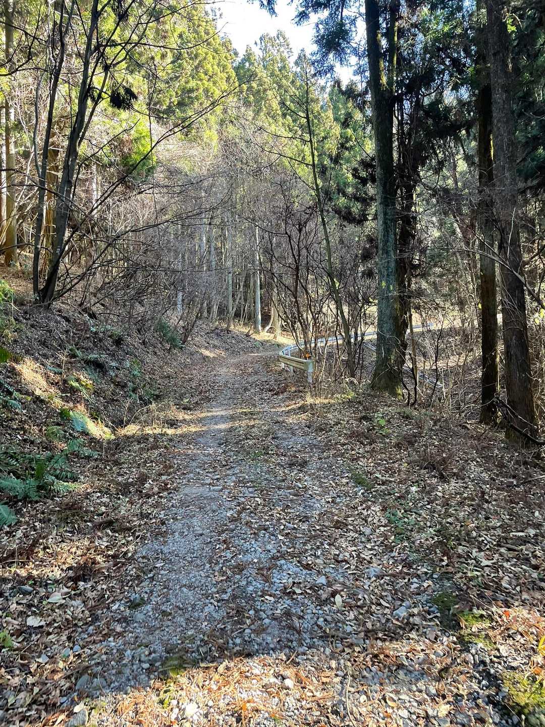 十二ヶ岳 往復コースの写真