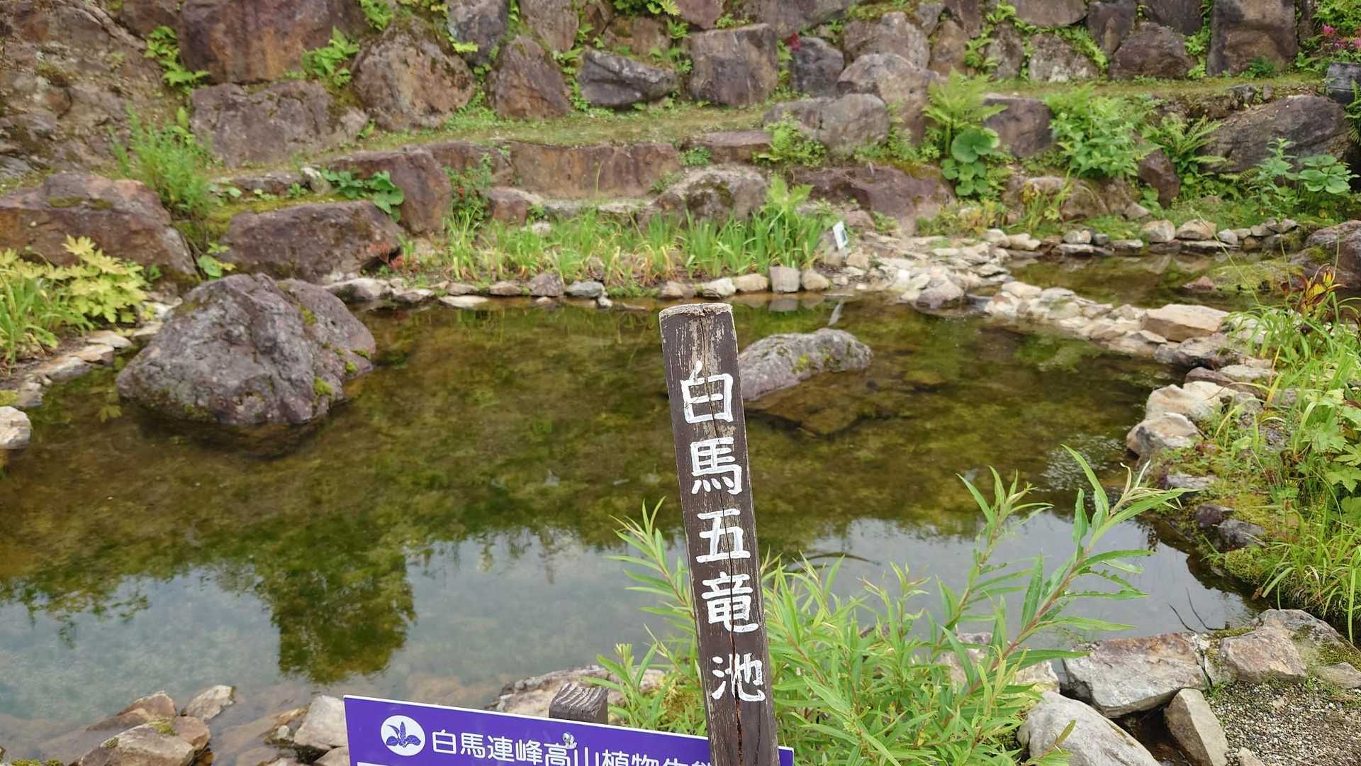小遠見山往復 | カクネ里氷河を抱いた鹿島槍ヶ岳など、後立山連峰の絶景ポイントの写真
