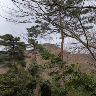 あっちは城山かな？
又時間ある時にでも