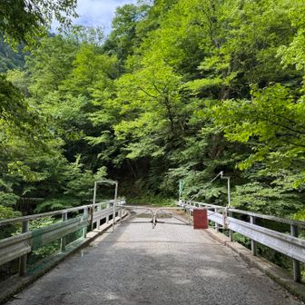 ゲート到着