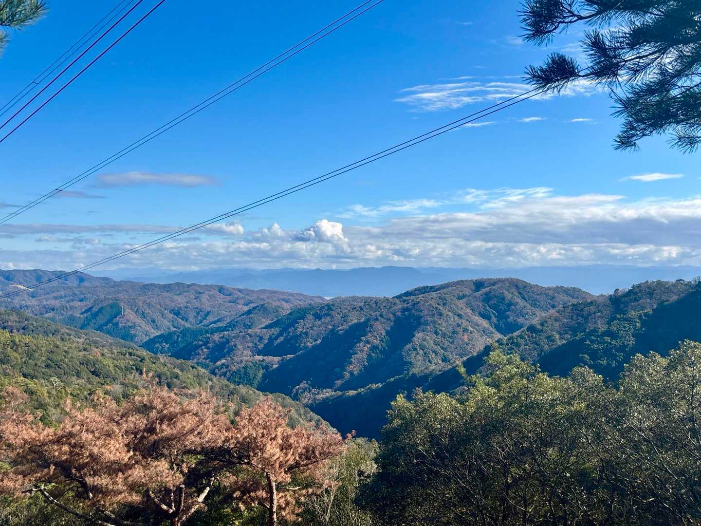 方向がわかりませんでしたが、よく見ると背後に龍門山🐉ということは、南東方向🔭