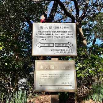 東天照に寄り道
▶︎▷所々に看板があるため行ったり来たり