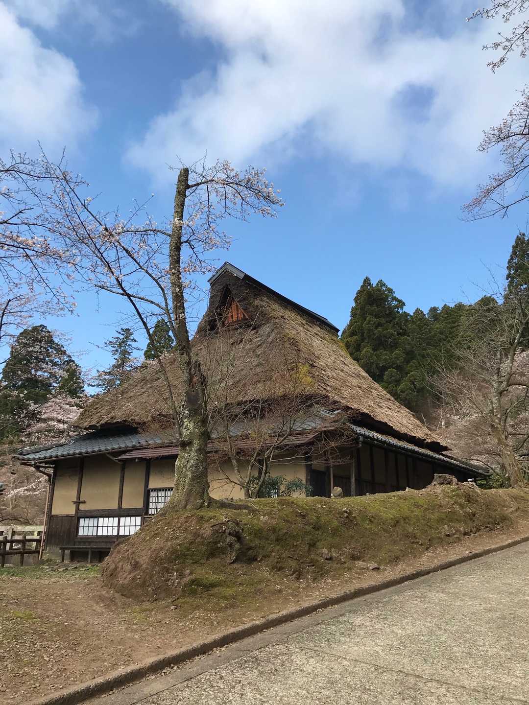 茅葺き屋根のふる里の家🛖