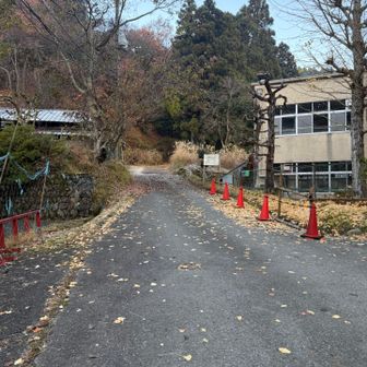 ここから登ります