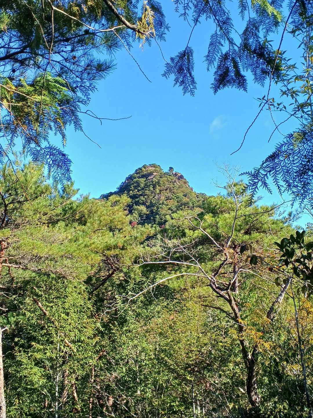 そうこうしてると、木々の間に…早くも
冠岳の山頂✨️をとらえた😲🎵