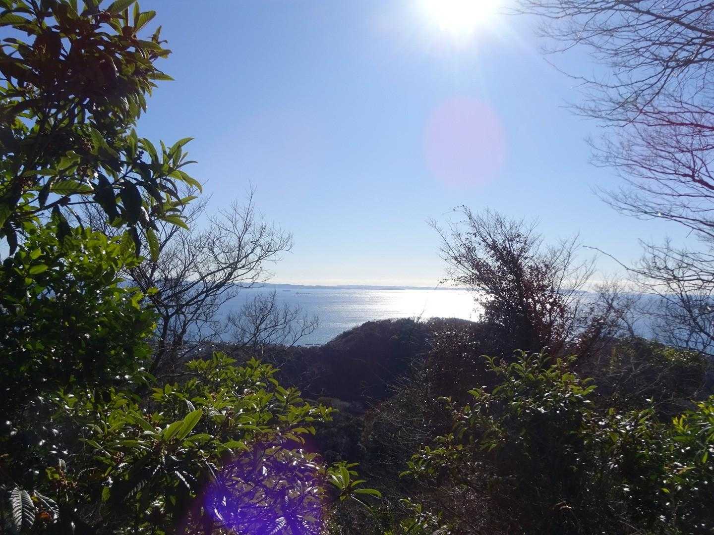 相模湾も綺麗です😍