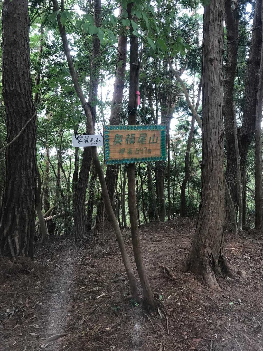 施福寺-槇尾山バス停 周回コースの写真