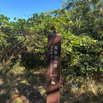 サクッと山頂🙌
