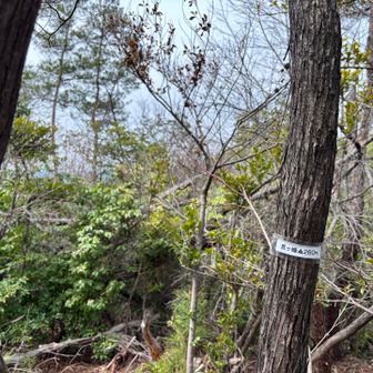 鷹の峰260m登頂！
