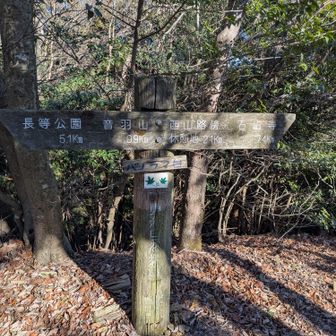 パノラマ台に到着、眺望はほとんど無し