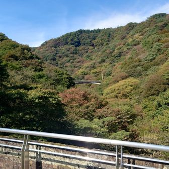 めがね橋からの紅葉