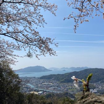 山頂からの眺望
桜も咲いていてとても良い眺めのここでお昼休憩