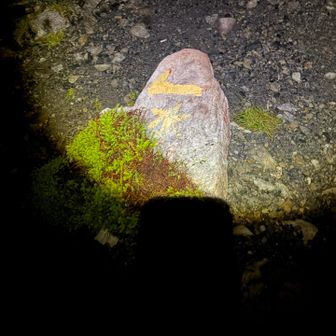 今回は暗いので水場はスルー