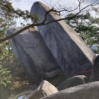 微妙に倒れていく、、