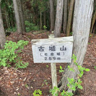 7座目　古城山