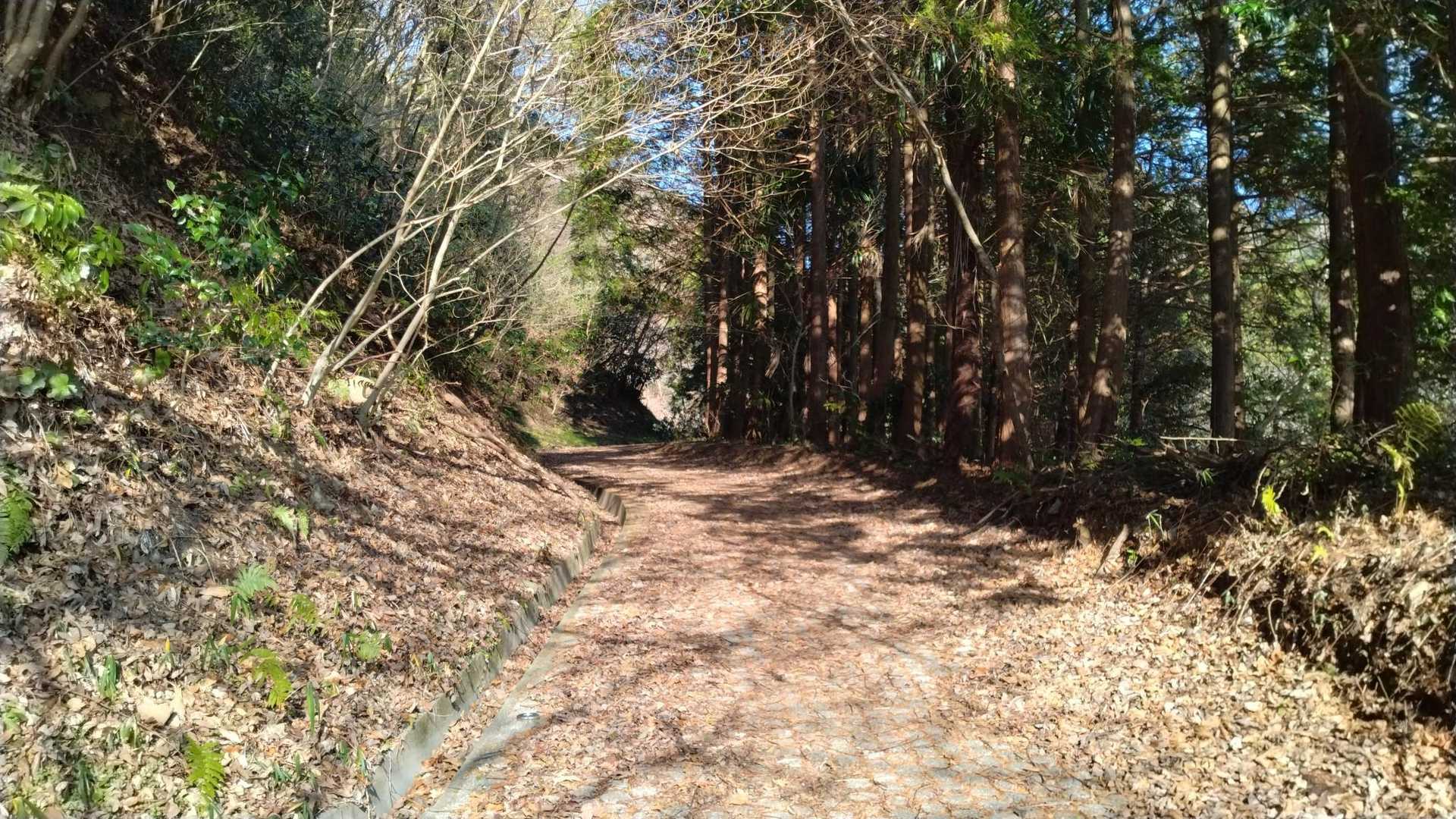 途中まで舗装道路