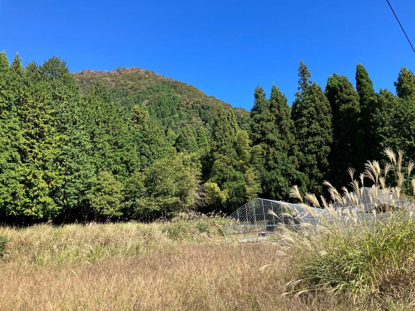 北側の美しい青葉山を眺めながら歩きます