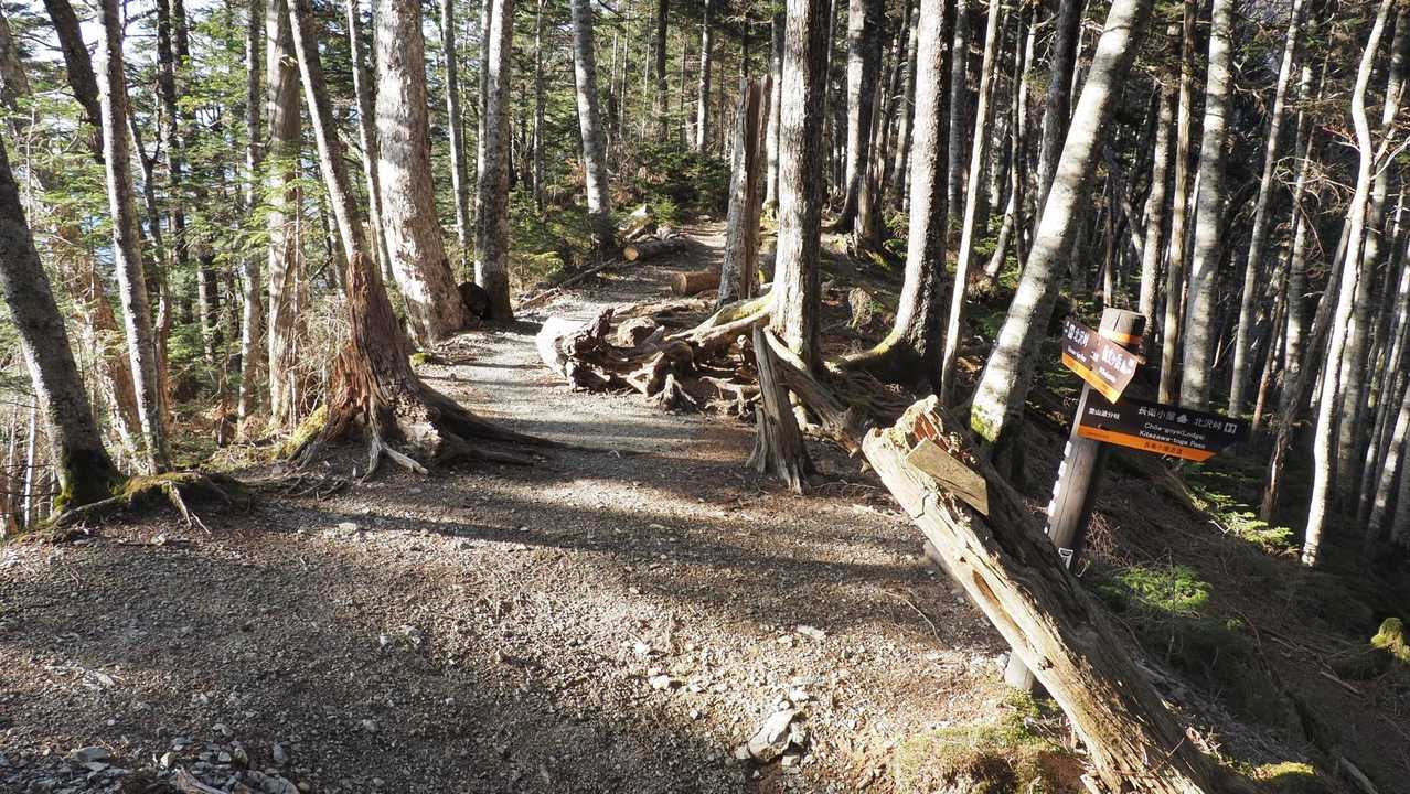 仙丈ヶ岳、残雪期テン泊 の写真 33