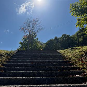 めちゃくちゃ良き天気ー☀️