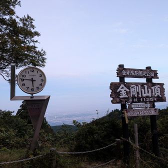 いつもの。
早朝の常連さんにお会いするのも久しぶりです。