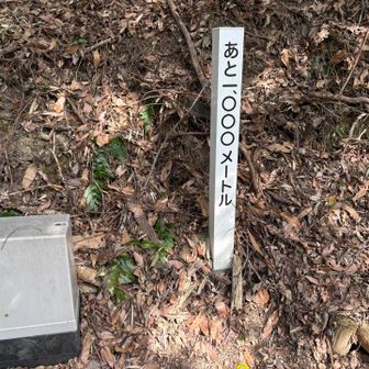 100m毎にあと○○○メートルの標識があります