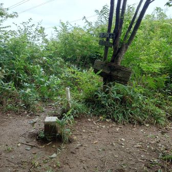 萱ヶ崎山到着
