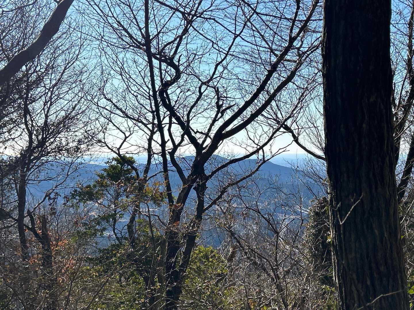 眺望と言っても、こんな感じ木がジャマ😵