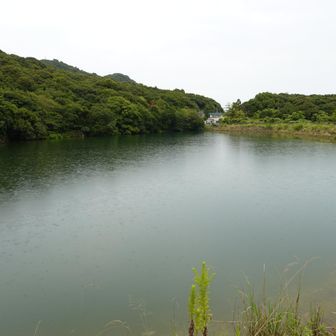 新池
雨が降り始めました🌧️🙄