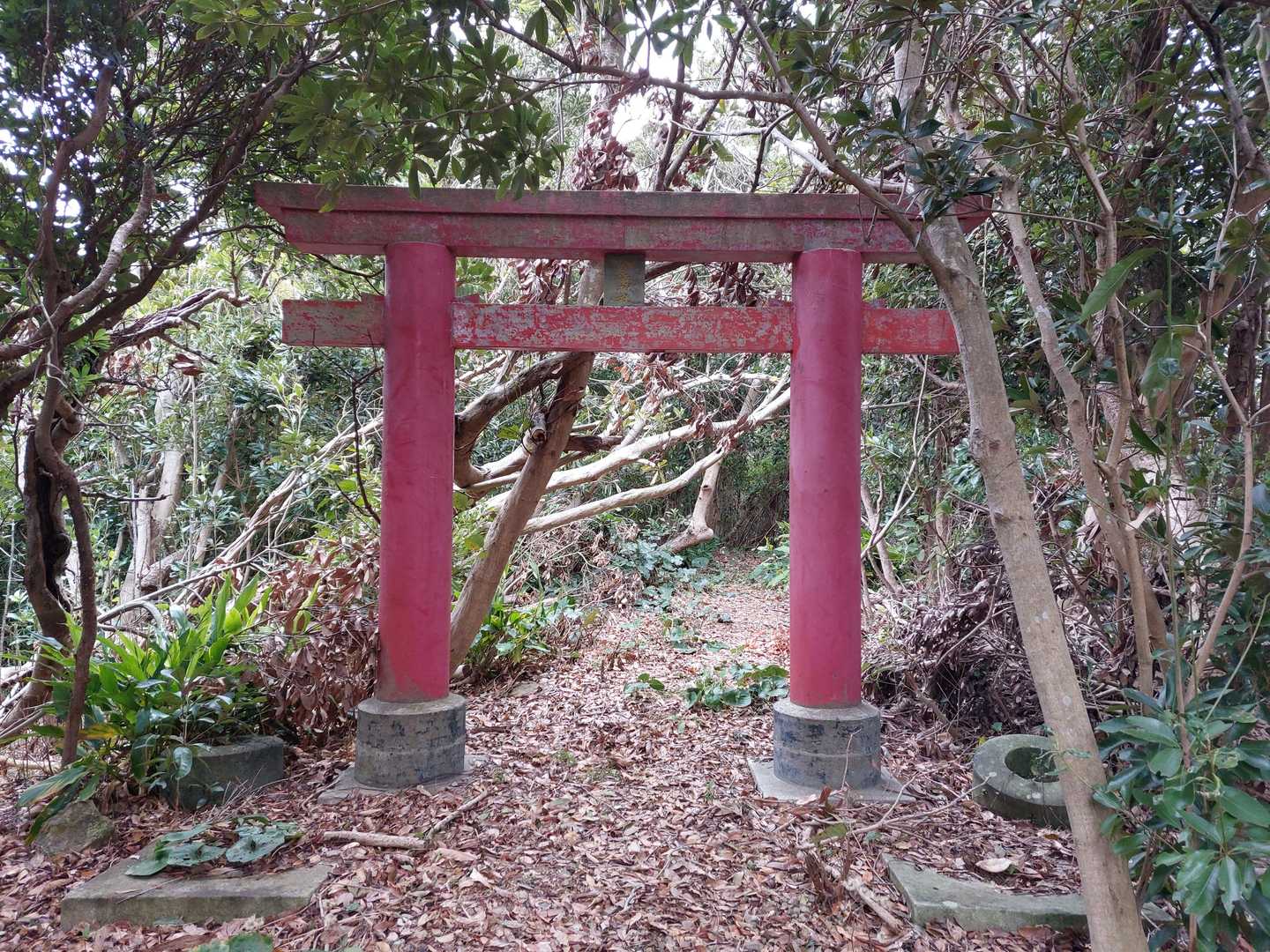 その稜線に似つかわしくない赤い鳥居。