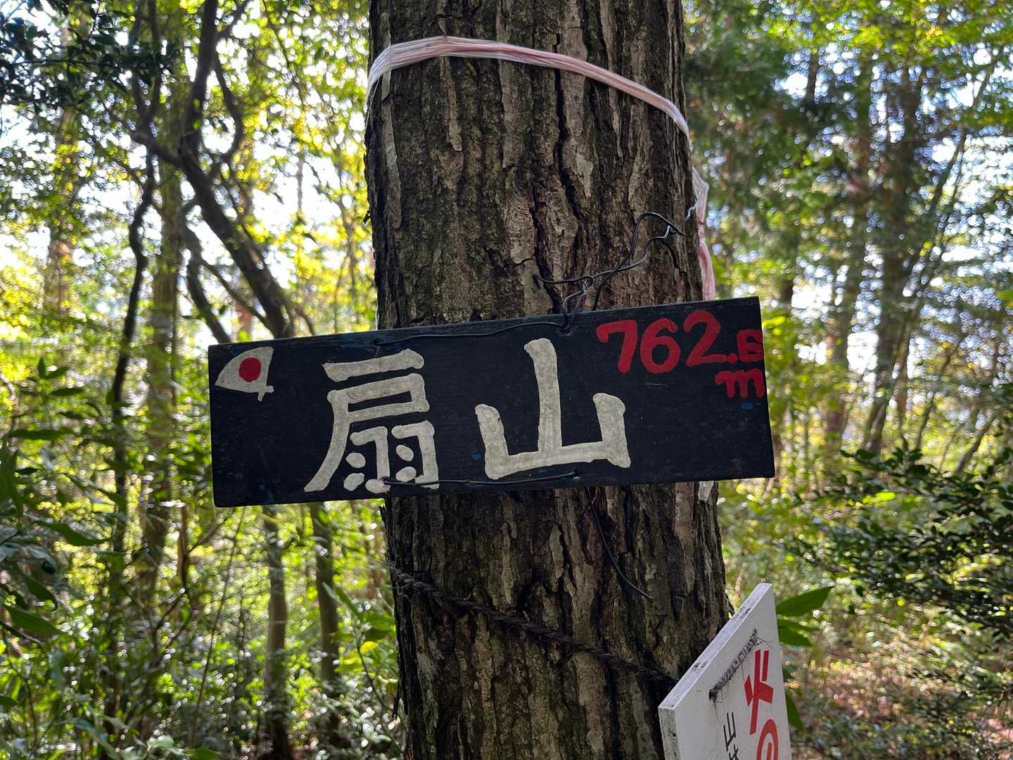 滝畑ダムバス停-滝畑登山口-岩湧山-紀見峠駅 縦走コースの写真