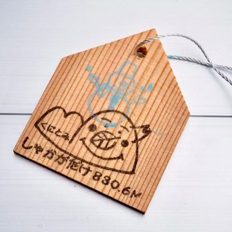 “しゃかがたけ830.6M” 登頂記念木札
今回はほぼコレ目的🤣
⛄️冬バージョンでした♪